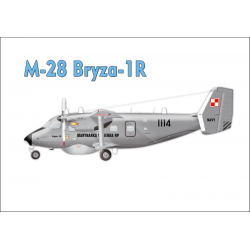 Magnes samolot Bryza-1R
